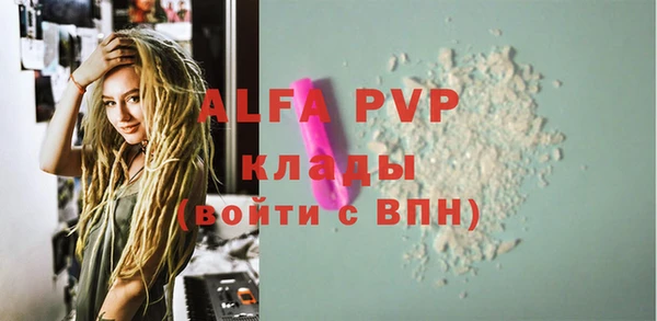твердый Бородино