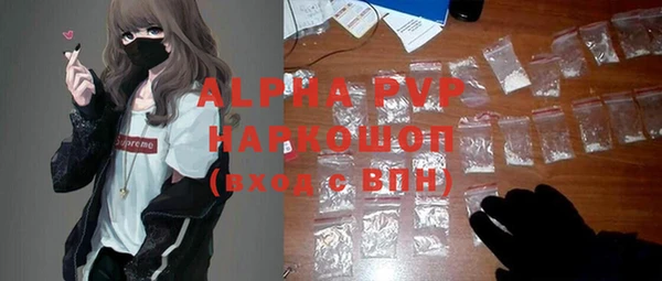 твердый Бородино