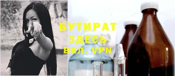 твердый Бородино