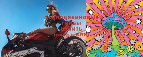 МДПВ Бугульма
