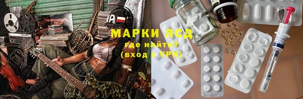твердый Бородино
