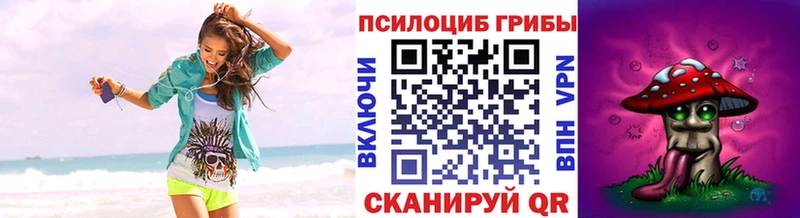 Купить где  Вятские Поляны  Галлюциногенные грибы MAGIC MUSHROOMS 